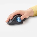 Mouse Logitech ERGO M575 Inalámbrico Trackball Black