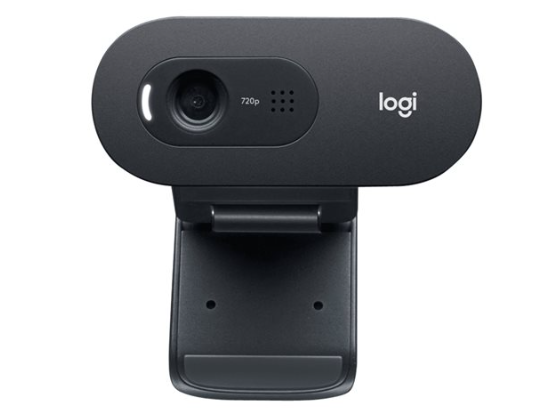 Webcam Logitech C505e, 30 fotogramas, 960-001372